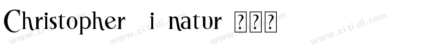 Christopher Signatur字体转换